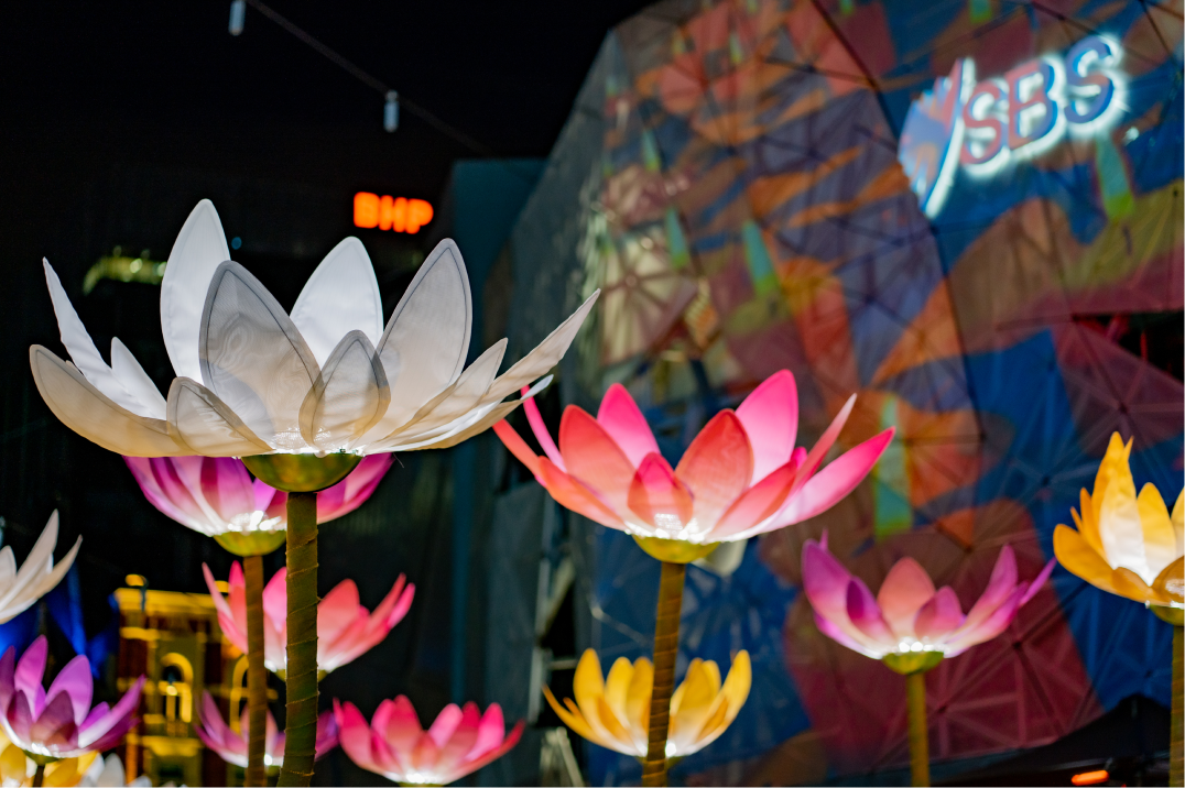 The Lotus Spirit Star Festival